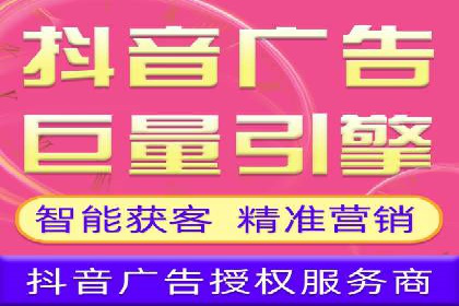 SEM托管服务，成功案例分享转化秘诀